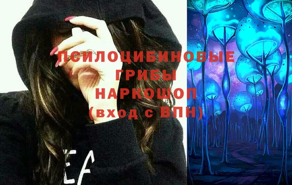тгк Армянск